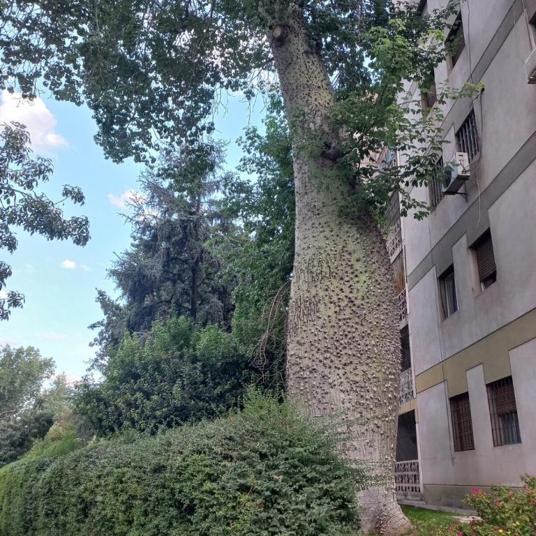Modern Apartment in Central Park, City of Mendoza - Apartamento de 3 dormitorios - 32