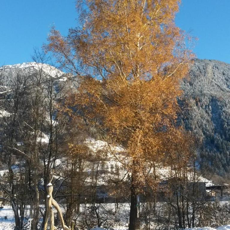 Ferienwohnung Rauch Mathilde - Apartment mit Blick auf die Berge - 19