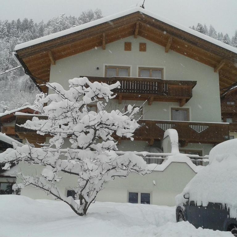 Ferienwohnung Rauch Mathilde - Apartment mit Blick auf die Berge - 1