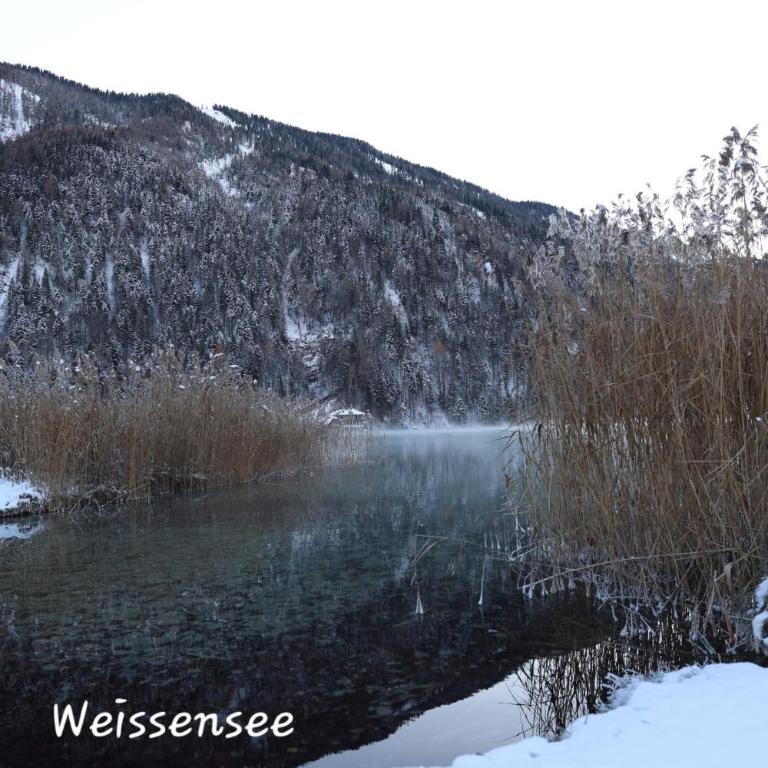 Wasser & Bergwelt Appartement Kärnten - Appartement 1 Chambre - 9