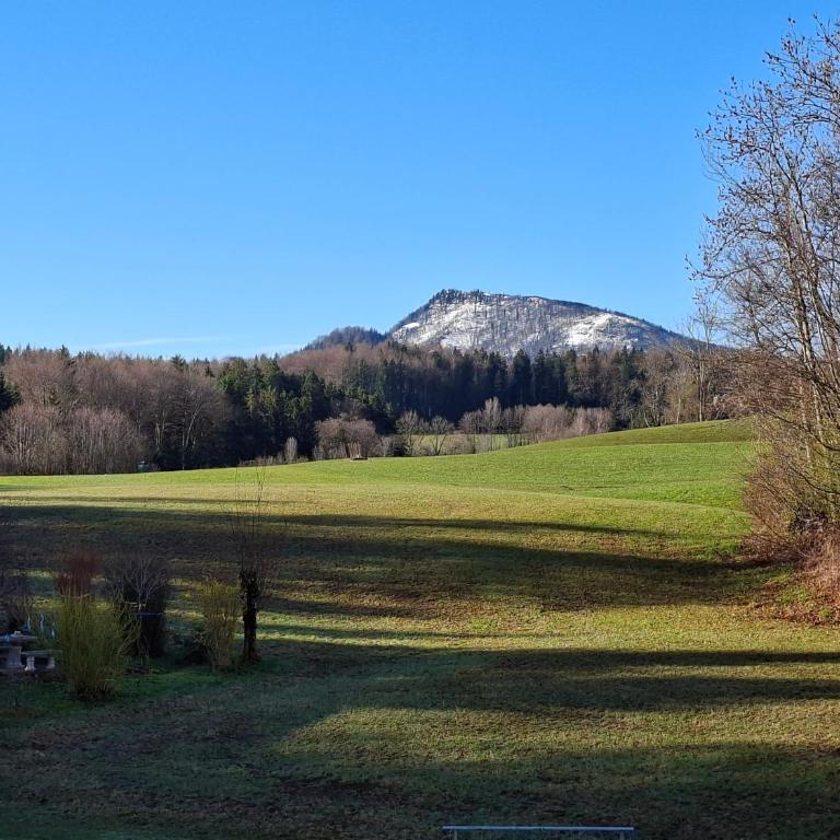 Pension Waldhof - Doppelzimmer mit Balkon - 4