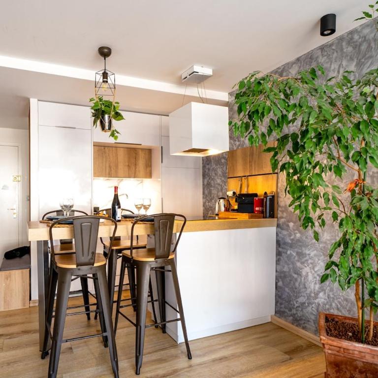 T2 lumineux l' Edelweiss pied du télécabine Prorel avec garage privé et sauna - Appartement 1 Chambre - 8