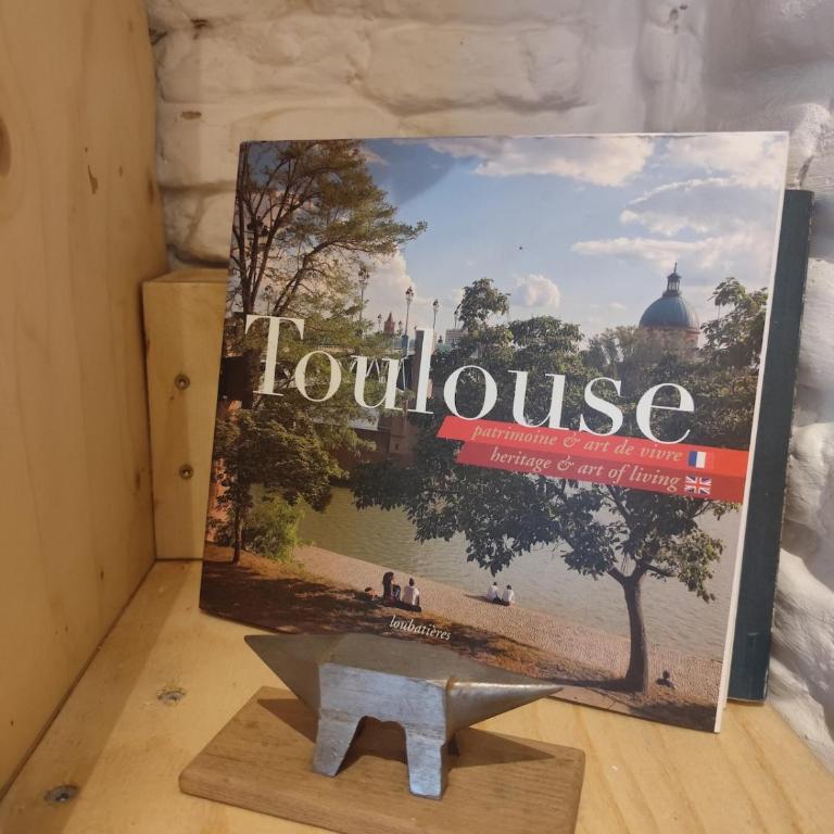 La suite du ferronnier - unique au coeur de Toulouse - Apartment mit 1 Schlafzimmer - 25