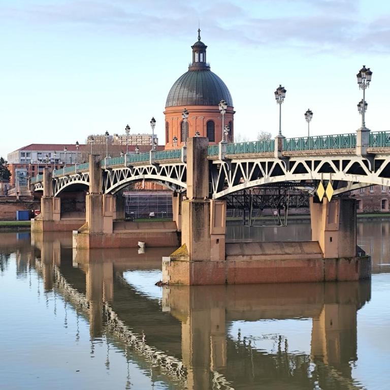 La suite du ferronnier - unique au coeur de Toulouse - Apartment mit 1 Schlafzimmer - 24