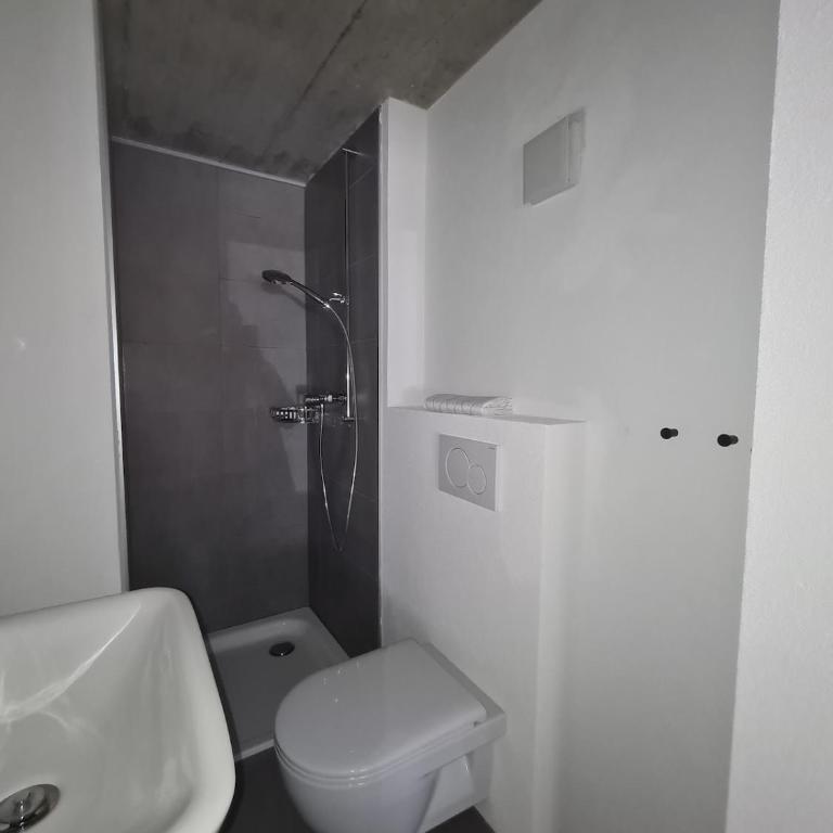 Magnifique studio proche de Crans-Montana - Appartement 1 Chambre - 2