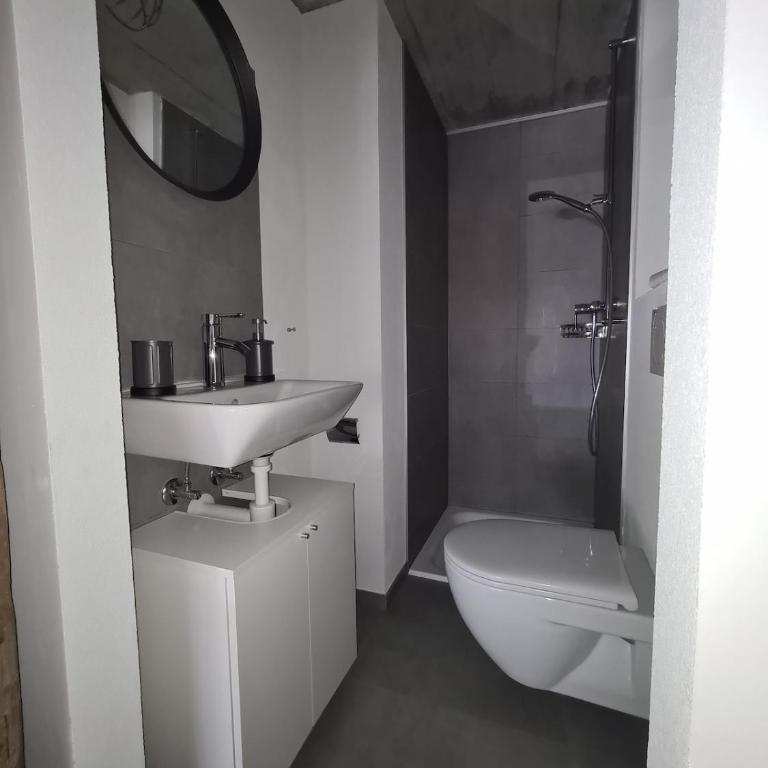 Magnifique studio proche de Crans-Montana - Appartement 1 Chambre - 25