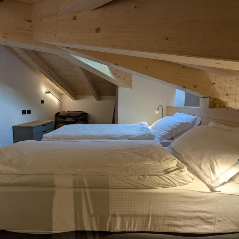 Alpine Lodge Grey by Tss - The charm of the center - Appartamento Deluxe con 1 Camera da Letto - 15