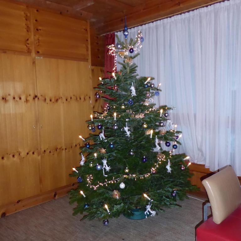 Appartement Ginschel - Studio mit Balkon - 19