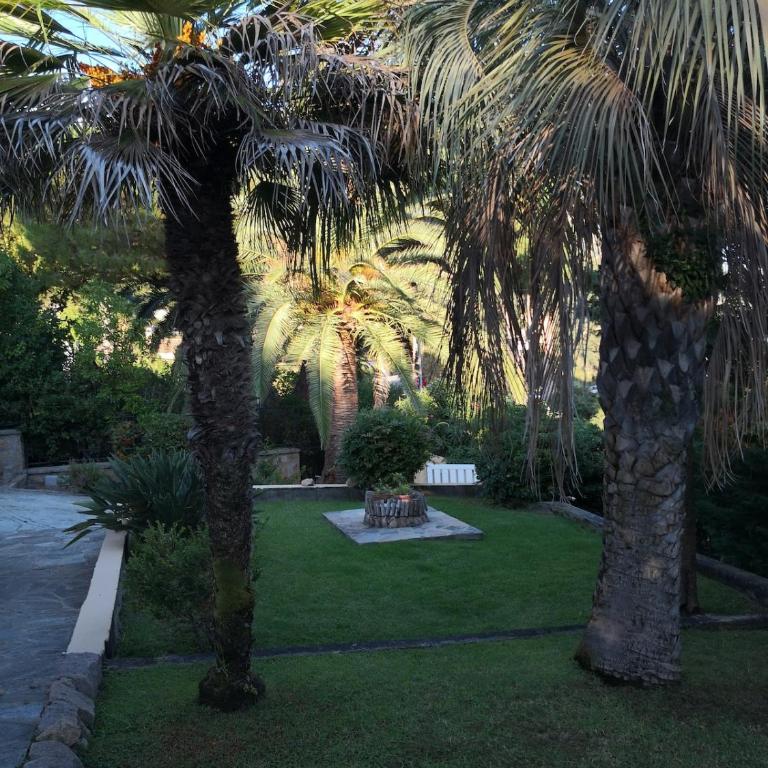 Villa Alba Marina - Villa - 14
