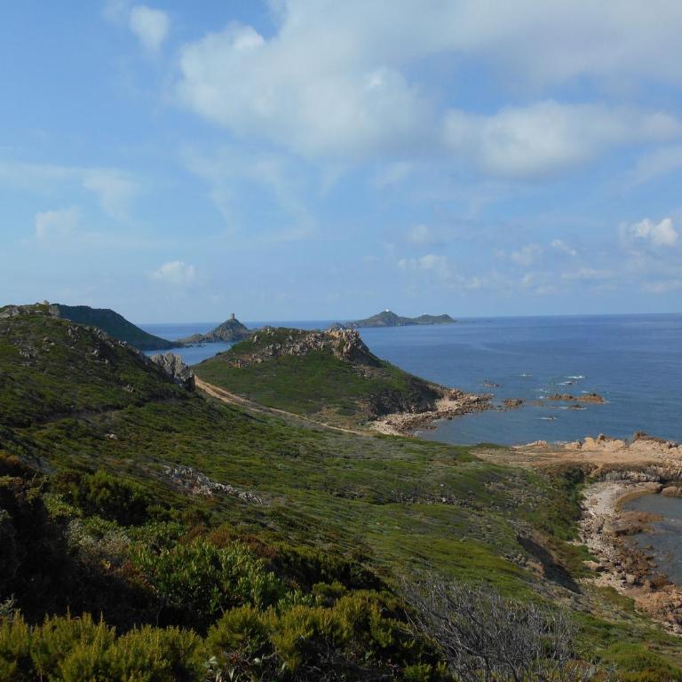 Villa Alba Marina - Villa - 19