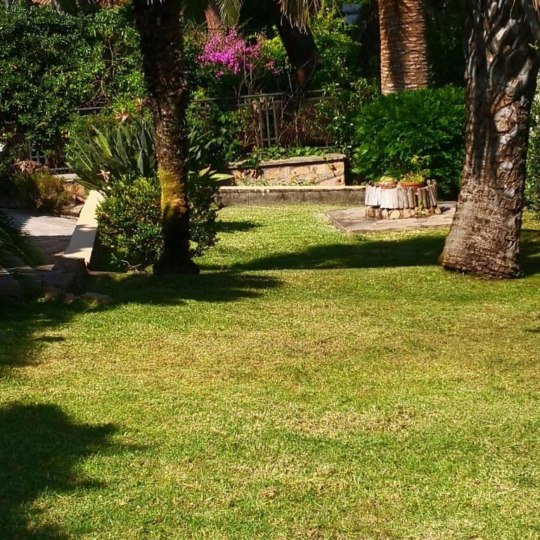Villa Alba Marina - Villa - 63