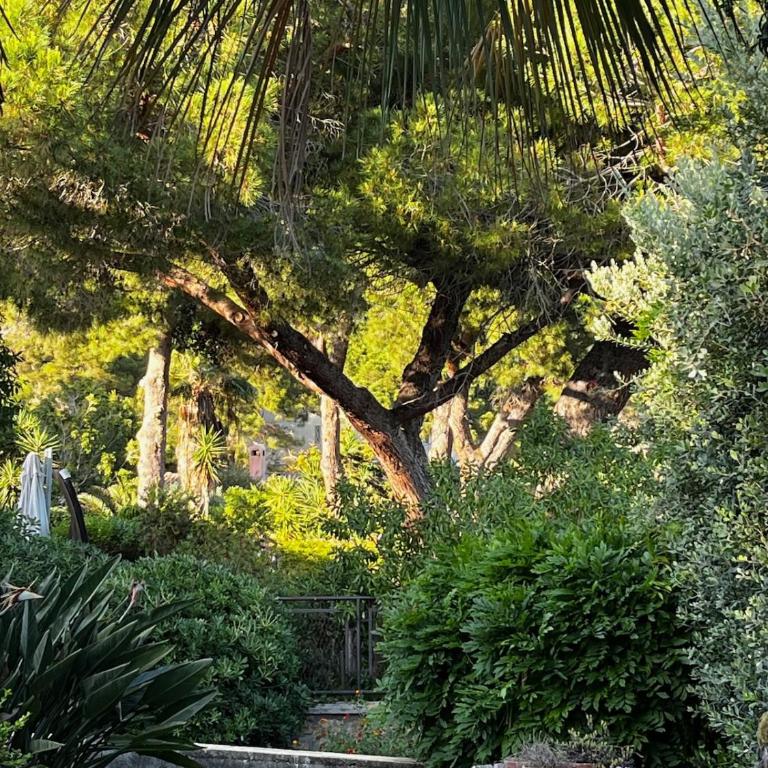Villa Alba Marina - Villa - 64