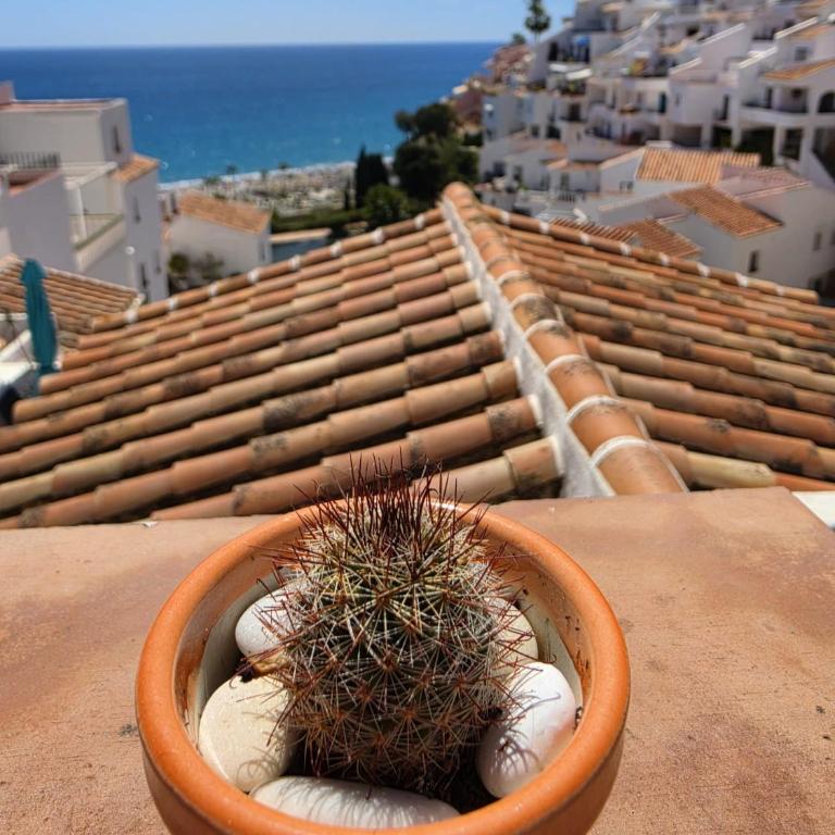 Modern Sea View Apartment Nerja - Apartamento de 2 dormitorios con vistas al océano - 5