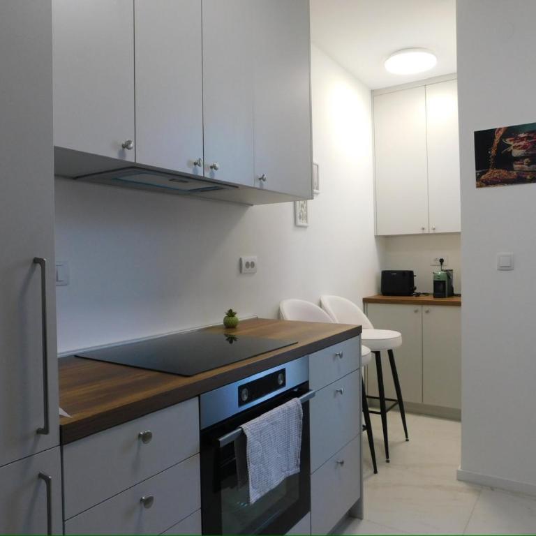 Cetinjska apartment - Apartman sa 1 Spavaćom Sobom - 12
