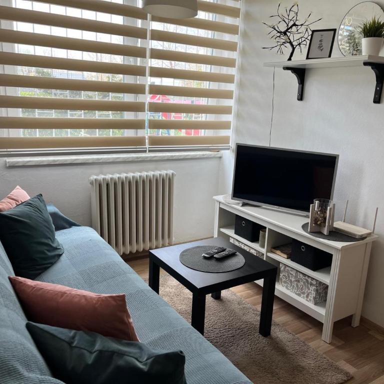 Comfy Apartment Sarajevo - Apartman sa 1 Spavaćom Sobom - 17