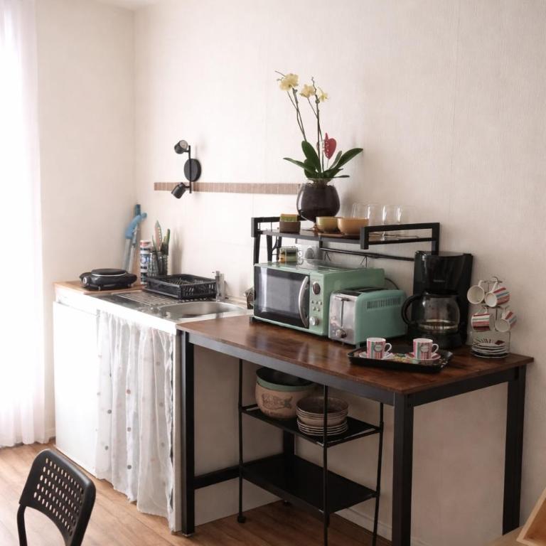 Studio plein centre - Apartment mit 1 Schlafzimmer - 8