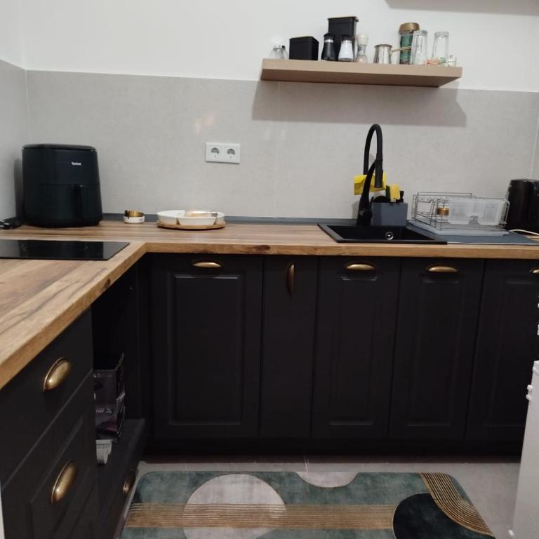 Apartman Dea - Apartman sa 1 Spavaćom Sobom - 4