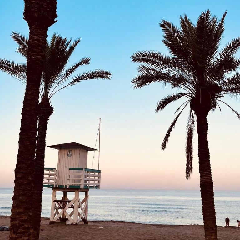 Apartamento en segunda linea de playa en la carihuela - Apartamento de 1 dormitorio - 16