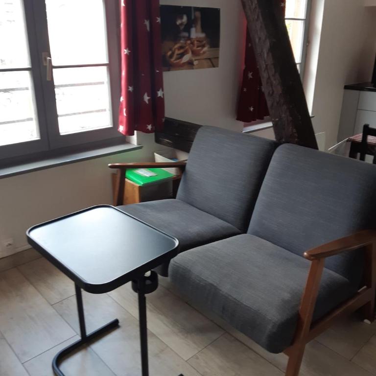 charmant studio lumineux situé au centre ville - Studio Standard - 17