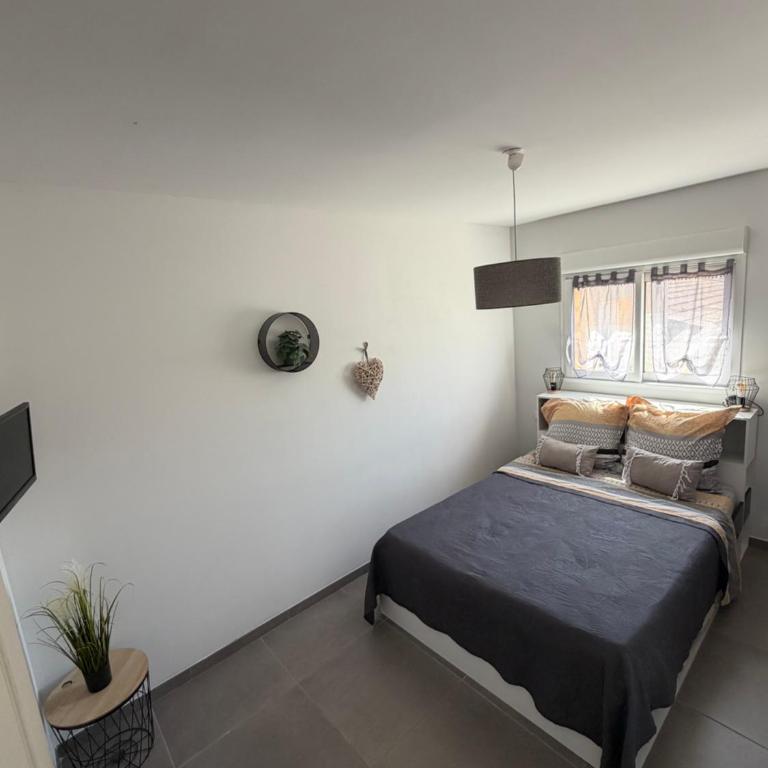 Appartement les 3 horloges - Appartement 1 Chambre - 3