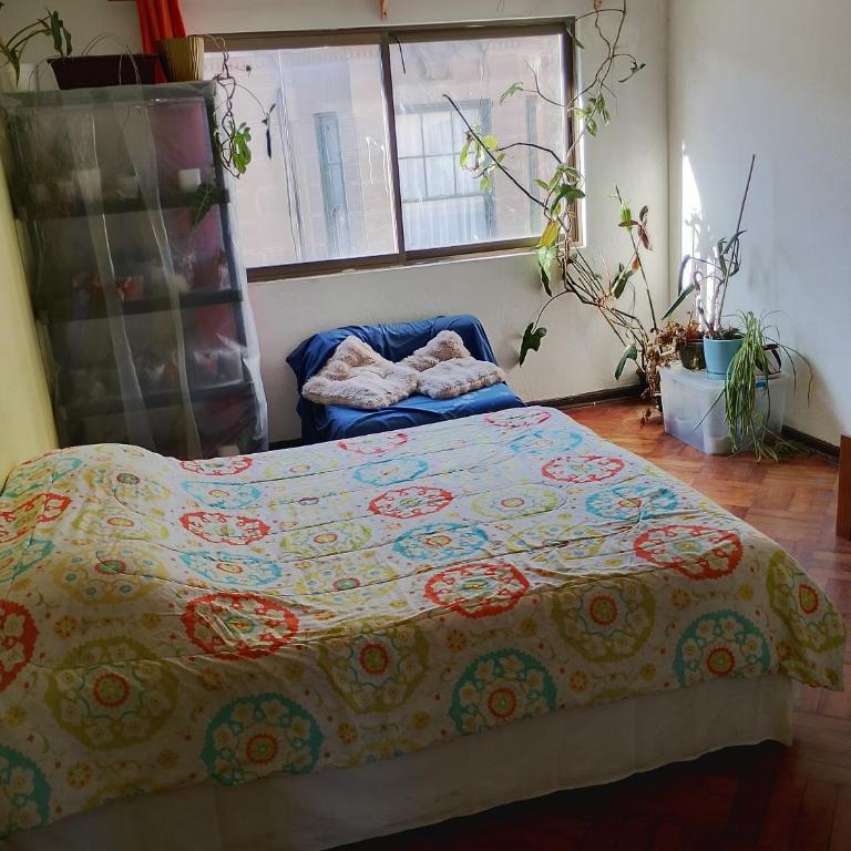 Departamento viña del mar - Apartment - 5
