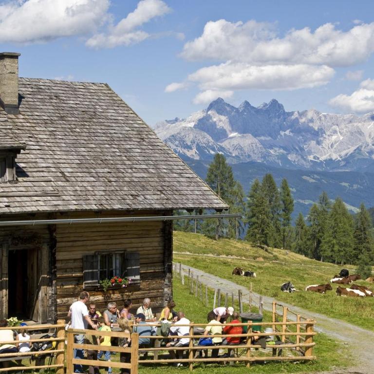 T-Lodge Zauchensee - Apartment mit 2 Schlafzimmern - 21