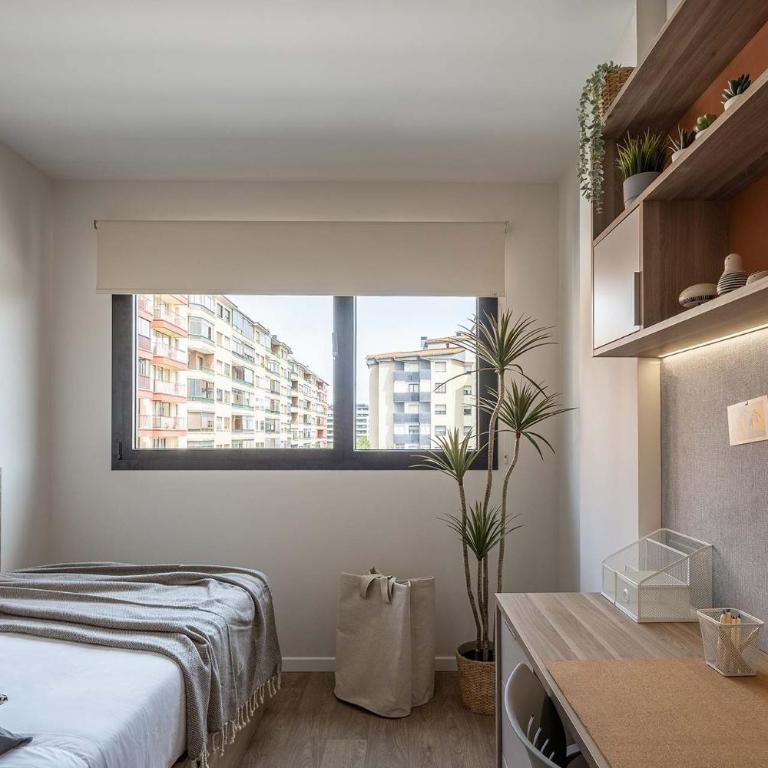 Amro Pamplona - Albergue Juvenil - Habitación Individual con baño privado - 5