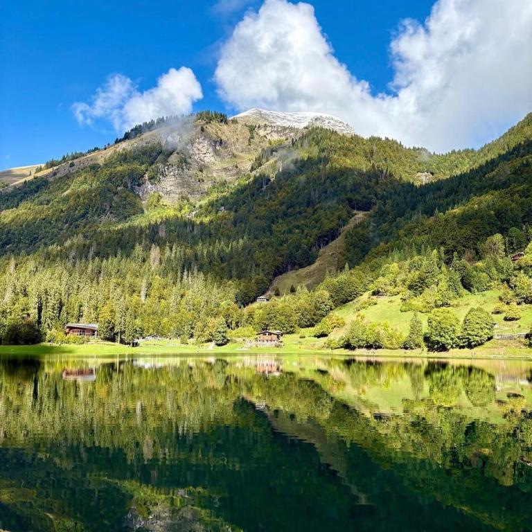 Chalet C, near Morzine - Chalet mit 3 Schlafzimmern - 37