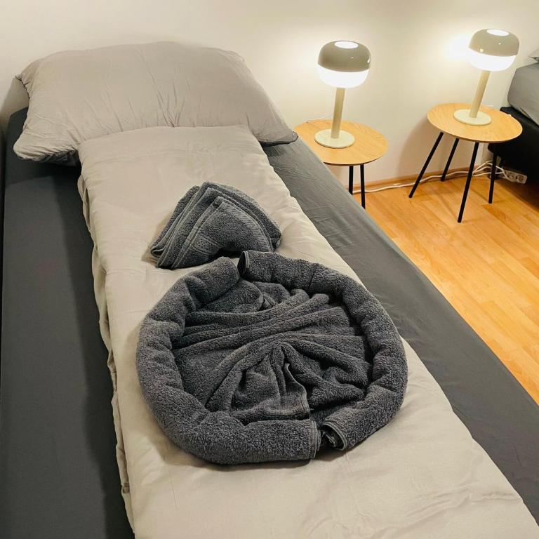 cozy apartment in Linz - Apartment - 15