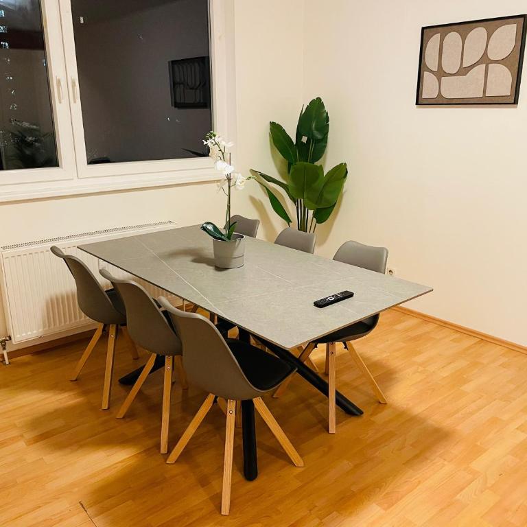 cozy apartment in Linz - Apartment - 16