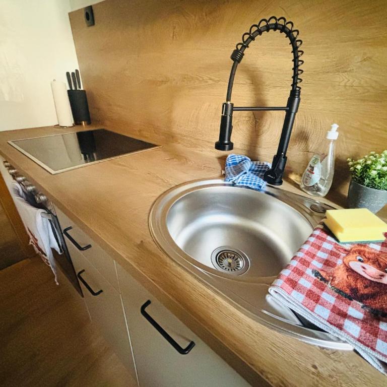 Christines Ferienwohnung - Apartment mit 1 Schlafzimmer - 9
