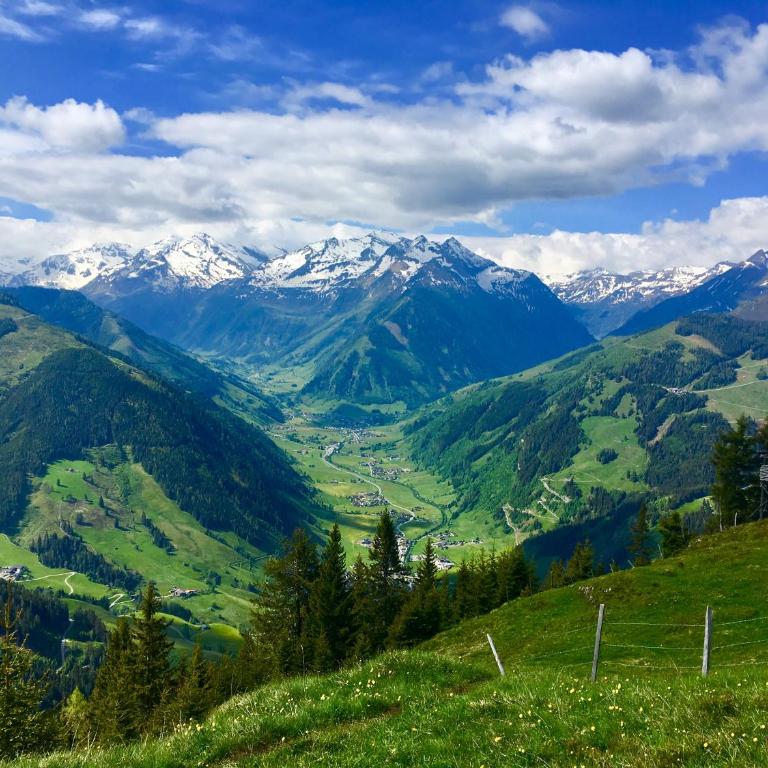 Hochalmbahnen Chalets 1-18, Enzian, nahe Gondel, Hunde willkommen - Haus mit 3 Schlafzimmern - 20