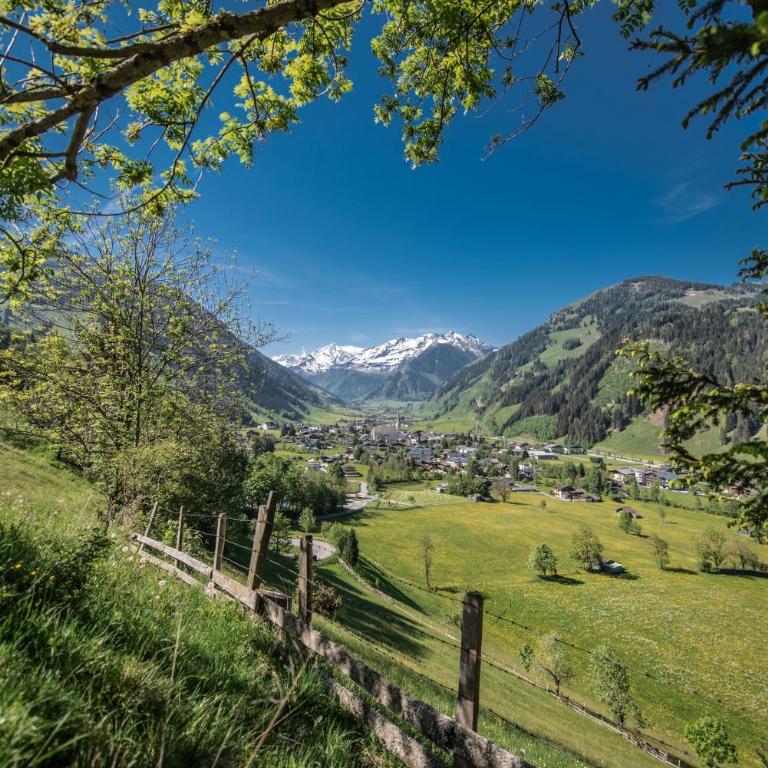 Hochalmbahnen Chalets 1-18, Enzian, nahe Gondel, Hunde willkommen - Haus mit 3 Schlafzimmern - 21