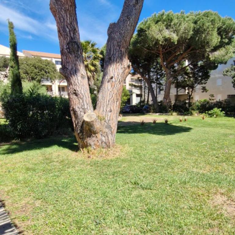 STUDIO Villa Maghjo CALVI CORSE PROCHE PLAGE - Apartment mit 1 Schlafzimmer - 16