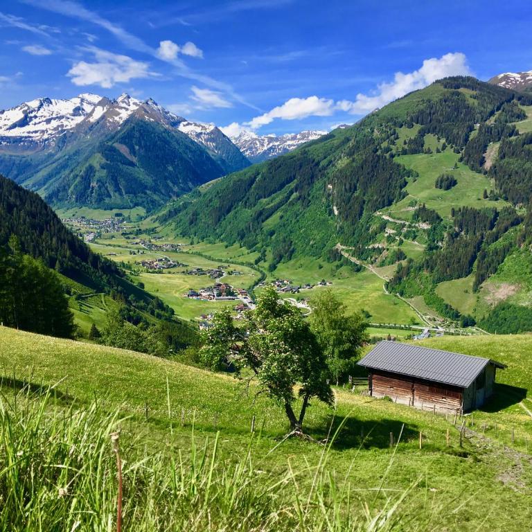 Hochalmbahnen Chalets 11W1, Bergahorn, nahe Gondel mit Wallbox - Apartment mit 2 Schlafzimmern - 19