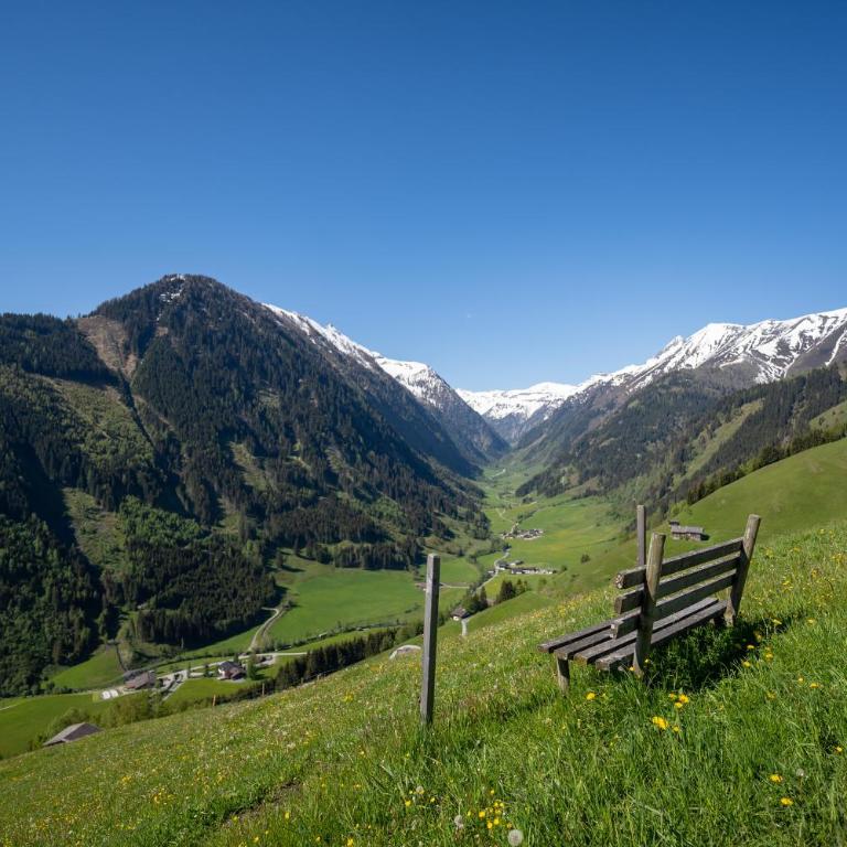 Hochalmbahnen Chalets 11W1, Bergahorn, nahe Gondel mit Wallbox - Apartment mit 2 Schlafzimmern - 25