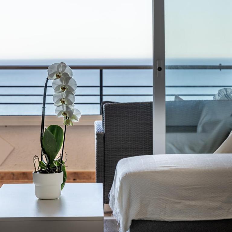 AA Guest - Mar y Luz Front Sea Views Eco Apartment - Apartamento de 1 dormitorio con terraza - 9