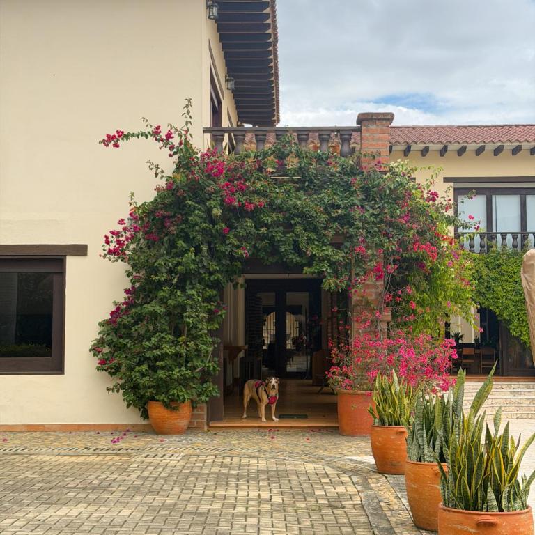 Hotel Boutique Villa Santillana - Suite con vistas a la montaña - 11