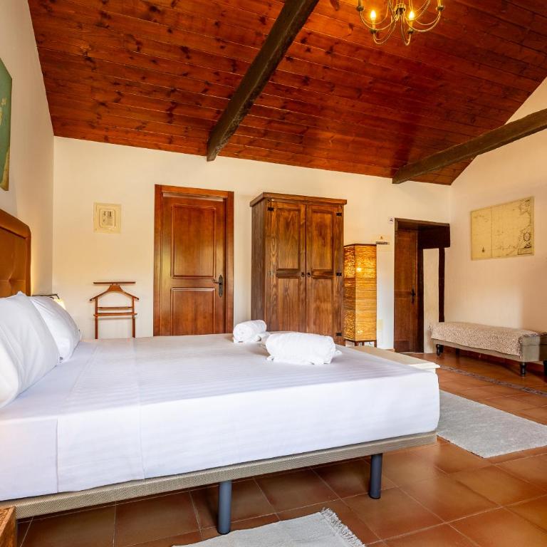 Hotel Emblemático Duque de la Torre - 8 Double Room with Garden View - Drago - 7