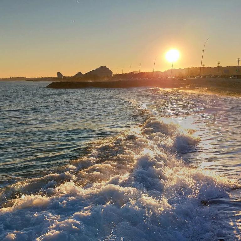 Appartement privé à 50 m de la mer, résidence avec piscine - Appartement 1 Chambre - 19