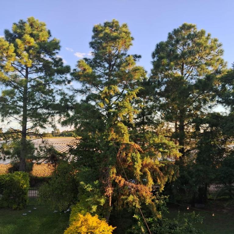 Anam Cara - Suite with Garden View - 3