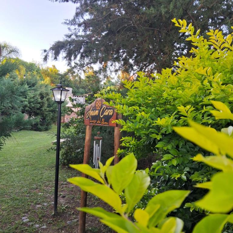 Anam Cara - Suite with Garden View - 25