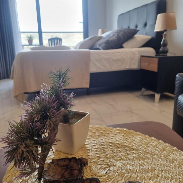 Balcon - Vista - Area de Trabajo - Piscina - Gym - One-Bedroom Apartment - 32