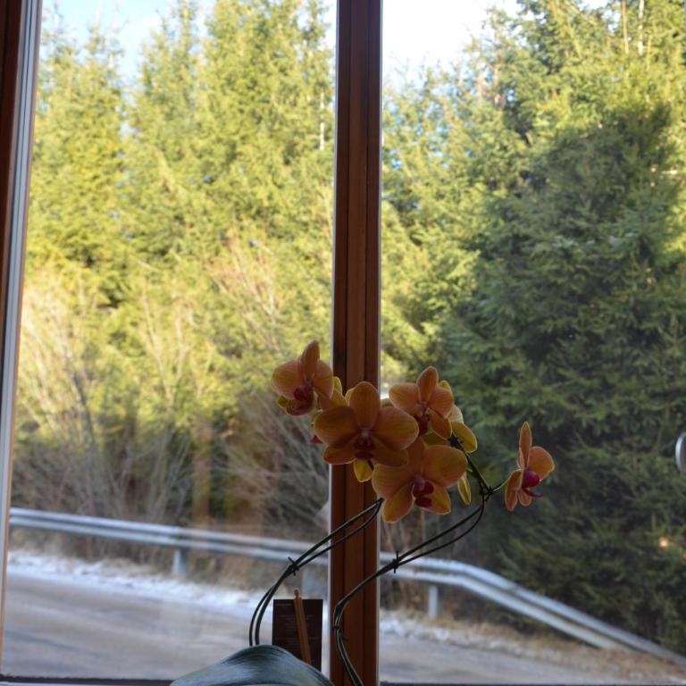 Haus Elena am Semmering - Standard Apartment - 27