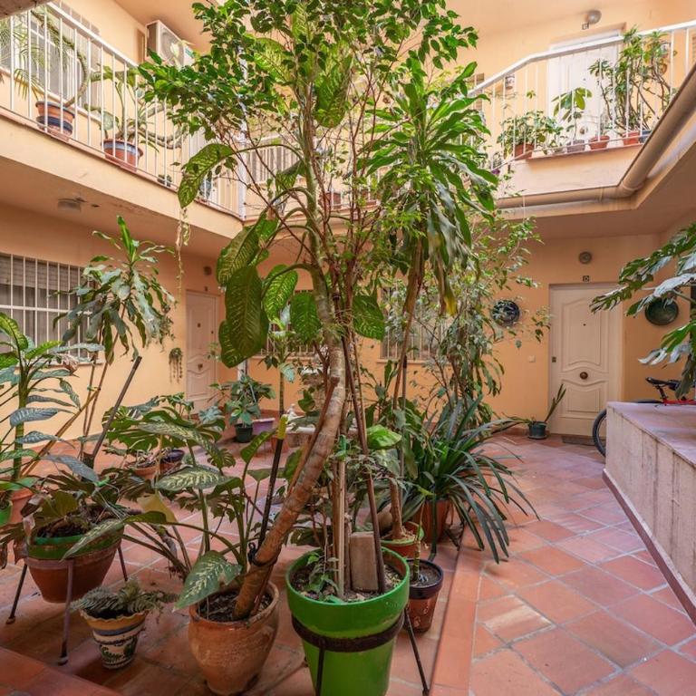 Málaga 2BR Apartment Near City Center with Patio - Apartamento de 2 dormitorios - 20