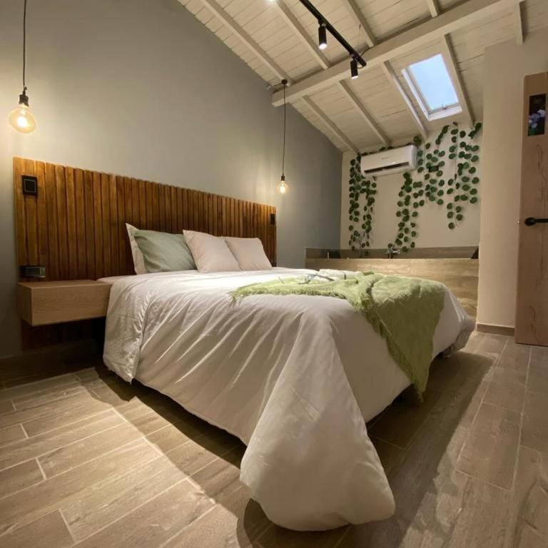 Boro House 6BR 4Jacuzzis in Laureles Medellin - Villa - 4