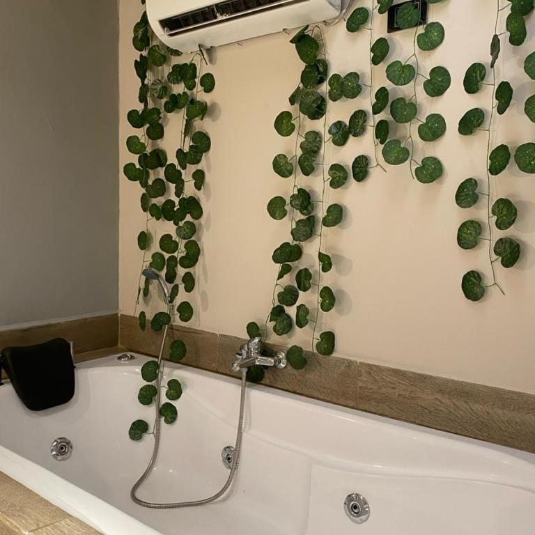 Boro House 6BR 4Jacuzzis in Laureles Medellin - Villa - 18