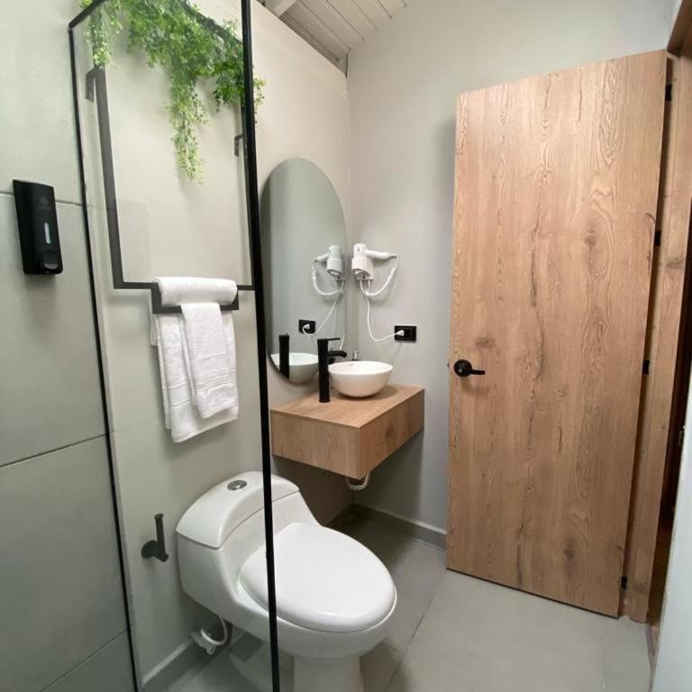Boro House 6BR 4Jacuzzis in Laureles Medellin - Villa - 24