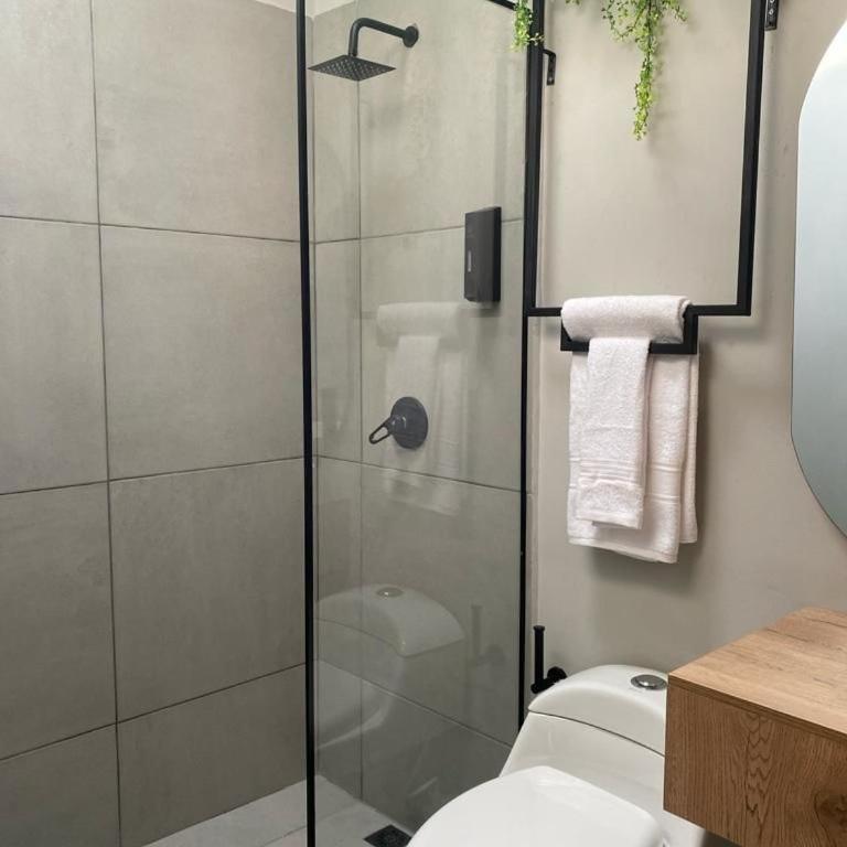 Boro House 6BR 4Jacuzzis in Laureles Medellin - Villa - 27