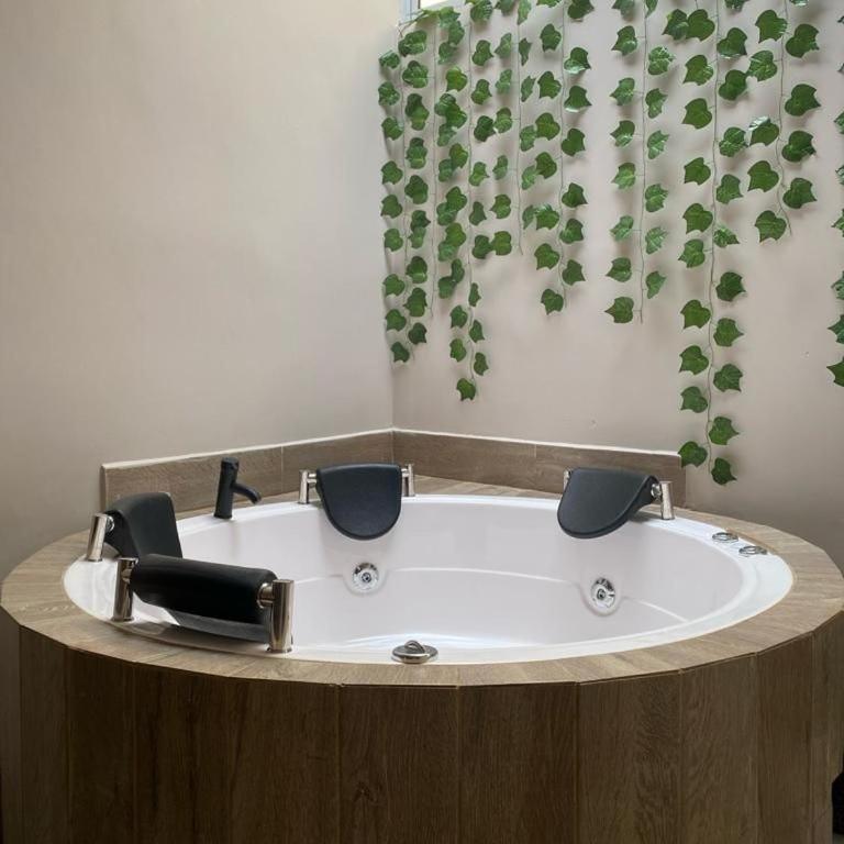 Boro House 6BR 4Jacuzzis in Laureles Medellin - Villa - 36